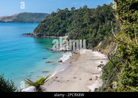 La costa dell'isola di Stewart come si vede dalla pista di Rakiura in Aotearoa Nuova Zelanda. Foto Stock