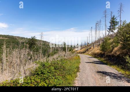 Impressionen aus Ilsenburg Harz und Umgebung Foto Stock
