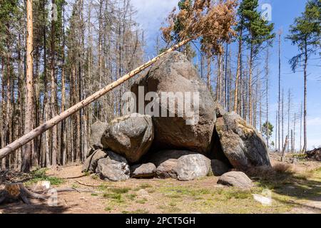 Impressionen aus Ilsenburg Harz und Umgebung Foto Stock