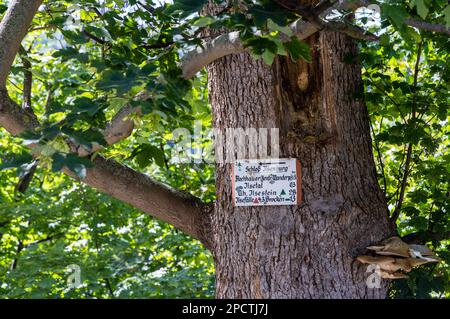 Impressionen aus Ilsenburg Harz und Umgebung Foto Stock