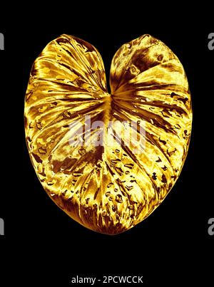 Foglia d'oro, gocce d'acqua sfondo nero isolato primo piano, foglie d'oro, fogliame giallo di metallo, illustrazione petalo, elemento decorativo di disegno della pianta Foto Stock