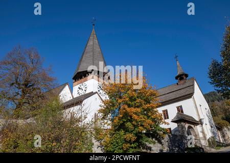 Suisse, Svizzera, Berna, Berna, Canton Berna, Kanton Berna, Oberland bernois, Berner Oberland, Saanen, Gessenay, villaggio, Dorf, villaggio, Foto Stock