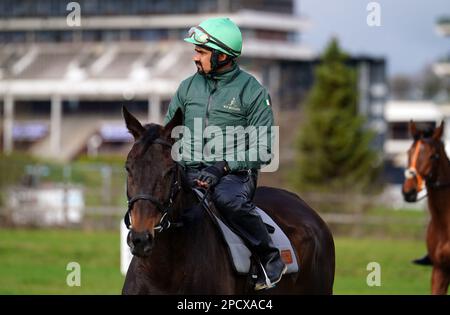 Willie Mullins allenò il cavallo, Energumene, sulle galoppe davanti al giorno uno del Cheltenham Festival all'ippodromo di Cheltenham. Data immagine: Martedì 14 marzo 2023. Foto Stock