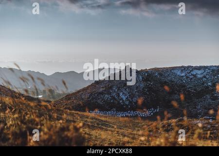 Apiario, produzione di miele in montagna Foto Stock