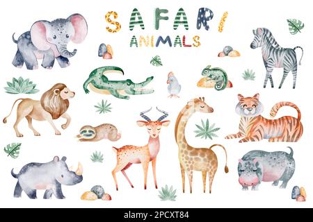 Belle illustrazioni di acquerello tropicale di animali, piante, zebra, giraffa, tigre, leone, elefante, rinoceronte, sciocco. Isolato su sfondo bianco Foto Stock