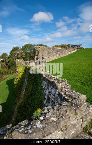 Vecchie mura lungo il fiume Clwyd al castello di Rhuddlan, Denbighshire, Galles del Nord. Foto Stock