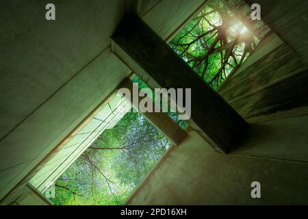 Edificio verde e di sostenibilità. Edificio ecologico nella città moderna. Edificio sostenibile in vetro per uffici con albero per ridurre il biossido di carbonio. Ufficio Foto Stock