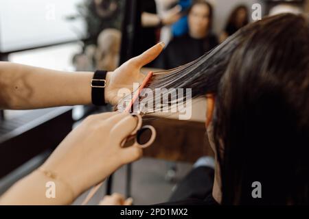 Foto ritagliata di donna estetista fare spazzola capelli lunghi capelli bagnati con pettine rosa, tenendo le forbici in salone di bellezza. Foto Stock