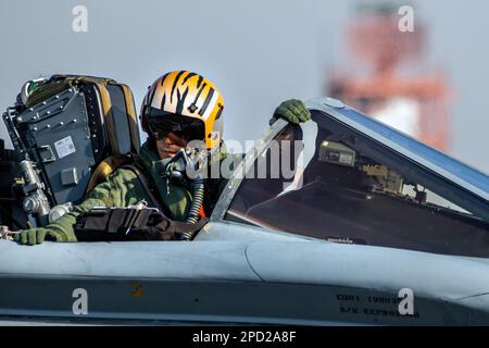 Pilota militare tedesco con casco in cabina di pilotaggio di un bombardiere Panavia Tornado IDS all'Airbase Kleine Brogel. Belgio - 13 settembre 2021 Foto Stock