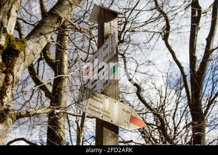 Sentieri in una foresta di montagna Czertez con Przelecz Tylicka segno di direzione Foto Stock