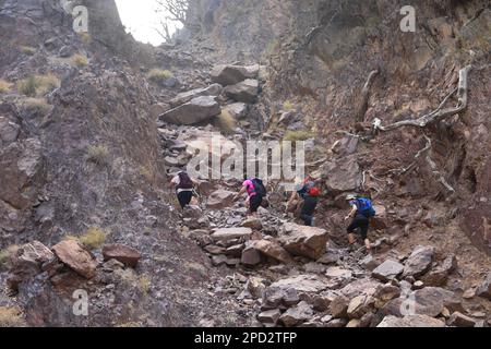 Camminatori nella zona di Naqad Gulley, Jabal Fied, al-Sharat della Giordania, Medio Oriente Foto Stock