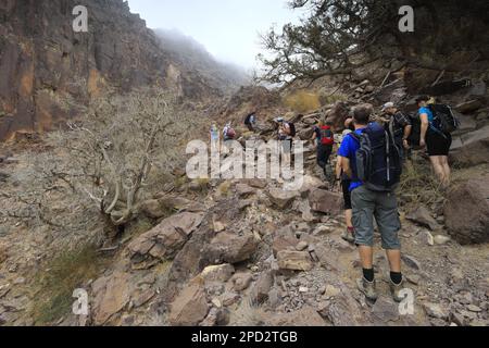 Camminatori nella zona di Naqad Gulley, Jabal Fied, al-Sharat della Giordania, Medio Oriente Foto Stock