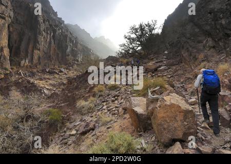 Camminatori nella zona di Naqad Gulley, Jabal Fied, al-Sharat della Giordania, Medio Oriente Foto Stock