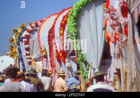 Pellegrini nei pressi del villaggio di Rocio, Romeria del Rocio, pellegrini in cammino per il Parco Nazionale di Doñana, pellegrinaggio della fratellanza triana, a El Rocío, Foto Stock