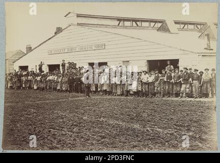 Negozio di racchette da cavallo, reparto di Quartermaster, Washington, D.C., aprile, 1865 , Washington, D.C., aprile 1865. Negozio governativo di racchette da cavallo. 820, titolo da oggetto, titolo alternativo, fotografo, e data dal Catalogo degli incidenti fotografici della guerra, dalla galleria di Alexander Gardner..di Bob Zeller, pubblicato dal Center for Civil War Photography, c2003, Gift; col. Godwin Ordway; 1948. Stati Uniti, Storia, Guerra civile, 1861-1865, Stati Uniti, Washington (D.C.). Foto Stock