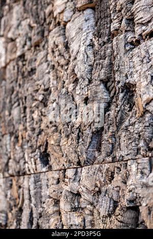 L'immagine mostra un esempio di sughero naturale durante il giorno di apertura dell'edizione 2023 di Batibouw, la mostra annuale di edifici, ristrutturazioni e decorazioni a Bruxelles Expo, martedì 14 marzo 2023. Batibouw 2023 è operativo dal 14 al 19 marzo. FOTO DI BELGA JONAS ROOSENS Foto Stock