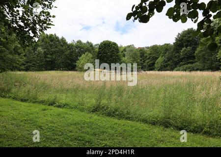 Impressionen aus Bad Wünnenberg im Kreis Paderborn Foto Stock