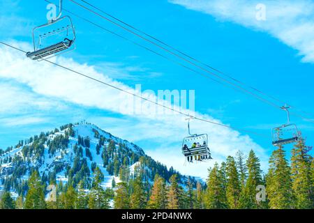 Seggiovia che corre in alto sopra alti pini contro un pendio innevato di montagna e un cielo blu mozzafiato. Foto Stock