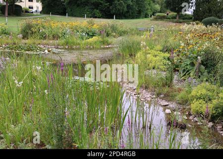 Impressionen aus Bad Wünnenberg im Kreis Paderborn Foto Stock