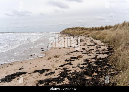 Vista sulle dune, la spiaggia e il mare in inverno, a basso Hauxley, vicino a amble, Northumberland, Regno Unito Foto Stock