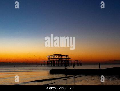 Brighton Beach Tramonto con il Molo Ovest sullo sfondo - Brighton & Hove, East Sussex, Regno Unito Foto Stock