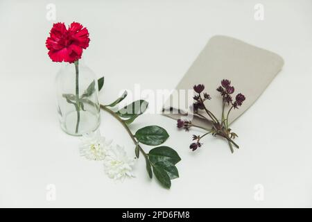 garofano rosso in vaso su sfondo bianco, isolato Foto Stock