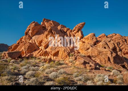 Formazioni rocciose di arenaria Aztec presso Redstone Trail, Redstone Petrified Dunes, Northshore Road, Lake Mead National Recreation Area, Nevada, USA Foto Stock