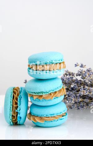 Piccoli macaron francesi colorati gourmet con sapore di lavanda e macaron francesi secchi di lavanda con sapore di lavanda e fiori freschi di lavanda Foto Stock