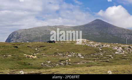 Auto che viaggia su Scenic Mountain Road, Lewis, Isola di Lewis, Ebridi, Ebridi esterne, Western Isles, Scozia, Regno Unito, Gran Bretagna Foto Stock