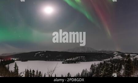 Panorama mozzafiato dell'aurora boreale visto dal territorio settentrionale dello Yukon, Canada. Ampie vedute panoramiche della natura selvaggia per il turismo, i viaggi. Foto Stock