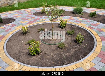 Frammenti di design moderno dal paesaggio nel giardino, parco, piazza, area ricreativa Foto Stock