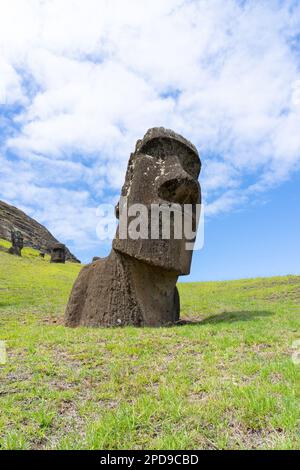 Vista laterale di Moai Hinariru, il moai a "collo storto", a Rano Raraku sull'Isola di Pasqua (Rapa Nui), Cile. Foto Stock