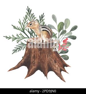 Foresta in acquerello illustrazione moncone e chipmunk disegnati a mano. Foto Stock