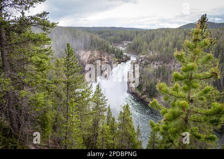 Cascate superiori al Parco Nazionale di Yellowstone Foto Stock