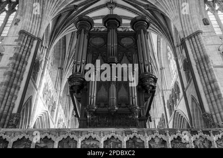 Exeter.Devon.United Kingdom.February 19th 2023.Vista dell'organo all'interno della cattedrale di Exeter Foto Stock