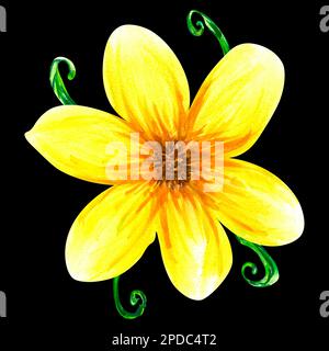 Acquerello astratto giallo estate brillante fiori e foglie. Oggetti isolati su sfondo nero. Decorazioni floreali a disegno. Foto Stock