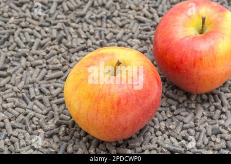 Pellet di alimentazione animale e cibo umano fianco a fianco. Per l'allevamento di animali/bestiame. Le mele sono una cura sana per alcuni animali - i cavalli sono uno. Foto Stock