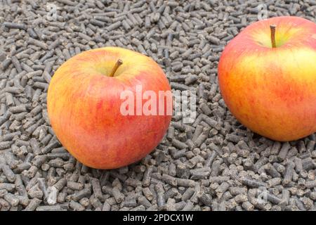 Pellet di alimentazione animale e cibo umano fianco a fianco. Per l'allevamento di animali/bestiame. Le mele sono una cura sana per alcuni animali - i cavalli sono uno. Foto Stock