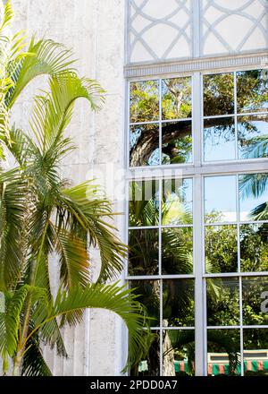 Una palma tropicale e un cielo soleggiato si riflettono splendidamente nella finestra di un edificio a Key West, Florida Foto Stock