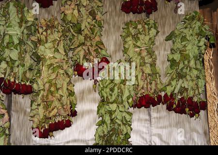 Rose rosse appese sul muro capovolto per asciugare con foglie verdi Foto Stock