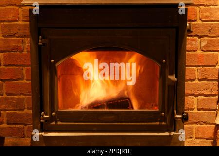 Un meraviglioso fuoco a legna in una stufa a legna. Un meraviglioso, caldo fuoco di legno protetto e visivamente attraente. Ami la vista di bruciare i log. Foto Stock