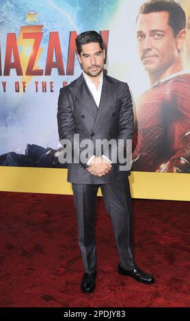 Los Angeles, California. 14th Mar, 2023. Agli arrivi per SHAZAM! FURY OF THE GODS Premiere, Regency Village Theatre, Los Angeles, CA 14 marzo 2023. Credit: Elizabeth Goodenough/Everett Collection/Alamy Live News Foto Stock