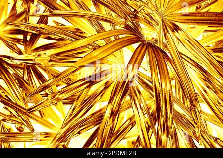 Foglie di palma d'oro sfondo, fiore d'oro struttura foglia, giallo metallo tropicale sfondo fogliame, motivo di ramificazione floreale metallico, ornamento di piante Foto Stock