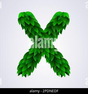 Lettere alfabetiche a partire da freschi fogli verdi. Lettera X. illustrazione del vettore Illustrazione Vettoriale