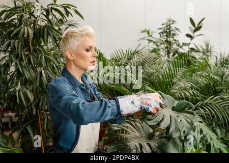 Giovane donna che si prende cura dei fiori in giardino. Casalinga allegra in grembiule irrorando foglie di idrangea con pesticida. Giardinaggio e floristica. Woma Foto Stock