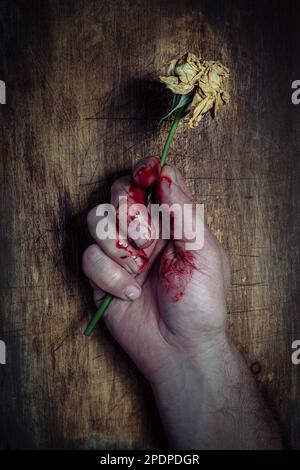 La mano sanguinosa innesti una rosa appassita Foto Stock