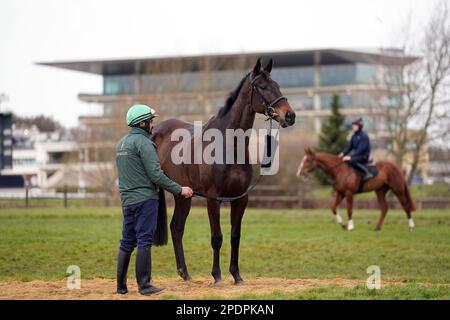 Willie Mullins allenò il cavallo, Energumene, sulle galoppe prima del secondo giorno del Cheltenham Festival all'ippodromo di Cheltenham. Data immagine: Mercoledì 15 marzo 2023. Foto Stock