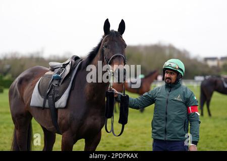 Willie Mullins allenò il cavallo, Energumene, sulle galoppe prima del secondo giorno del Cheltenham Festival all'ippodromo di Cheltenham. Data immagine: Mercoledì 15 marzo 2023. Foto Stock