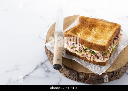 Panino di tonno con verdure su sfondo marmoreo Foto Stock
