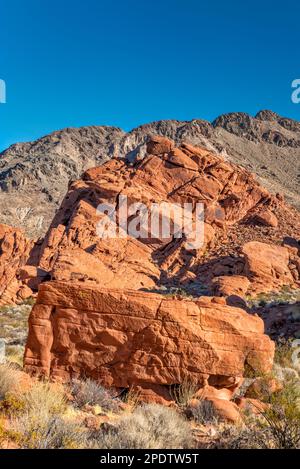 Formazioni rocciose di arenaria Aztec presso Redstone Trail, Redstone Petrified Dunes, Northshore Road, Lake Mead National Recreation Area, Nevada, USA Foto Stock